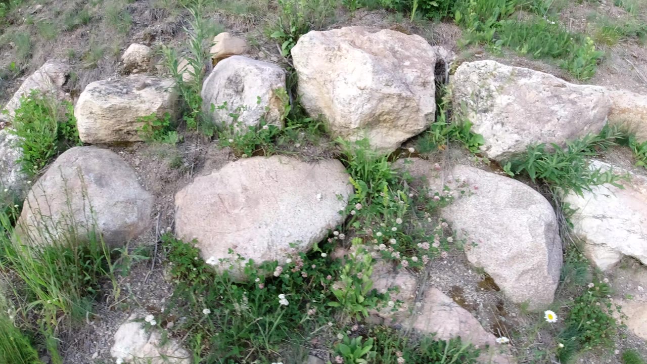 Rock border with taller grass