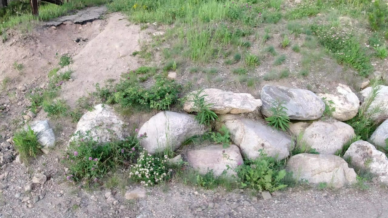 Sandy ground in Winter Park, Colorado, bordered by rounded stones, green grass, and small white flowers, with no visible people.