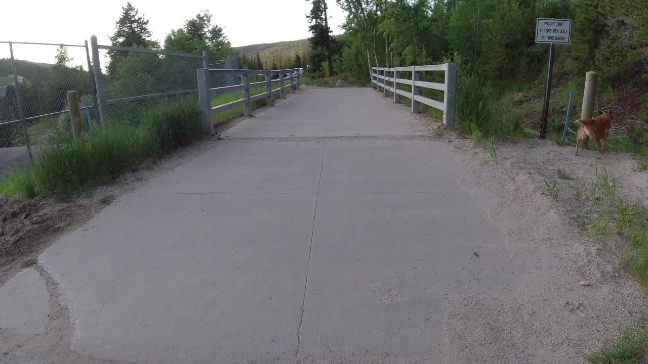 Wide view of a concrete bridge in Winter Park, Colorado, with gray railings, a white fence, trees, distant hills, and a small brown dog partly visible at the right edge, no visible people.