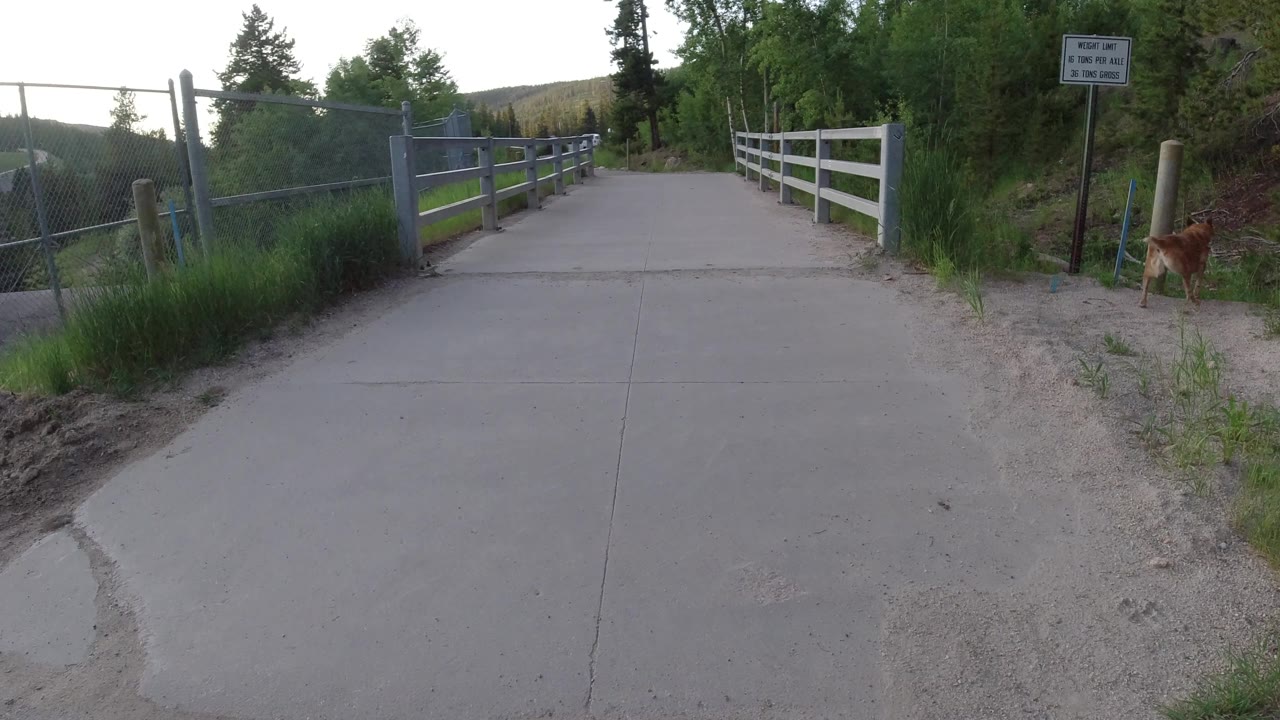 The bridge approach in Winter Park, Colorado, shows gray railings, green vegetation, a white fence, a posted sign, and the small brown dog standing near the right-side brush, no visible people.