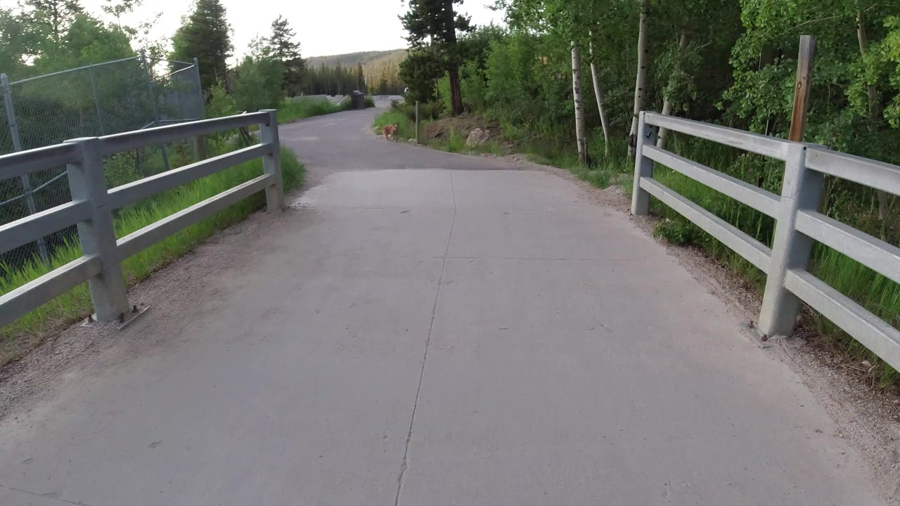 A Winter Park, Colorado paved road curves past gray rail fencing, tall grass, trees, and rocks, with no visible people.