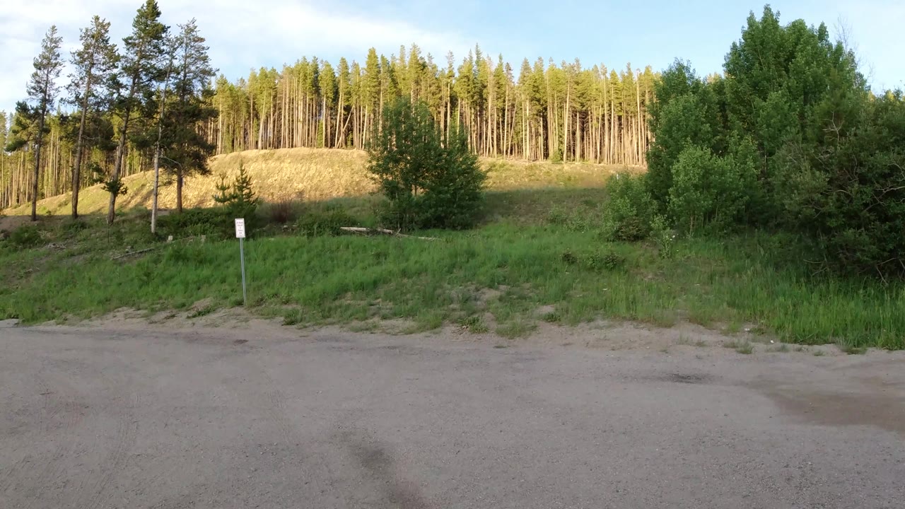 Paved turnout beside grass, shrubs, conifers, and a lit hillside.