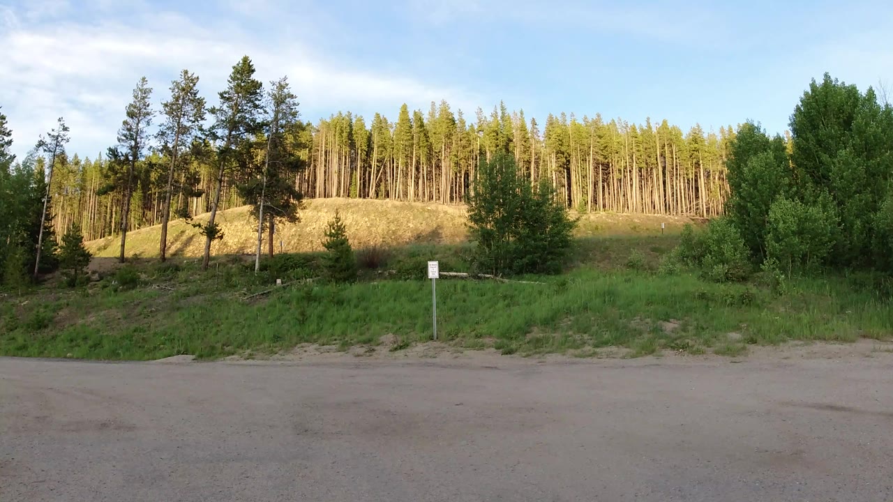 Winter Park, Colorado roadside frame with a broad gray parking surface, a central reflective marker, green grass, a shaded embankment, bright conifer trunks, and no visible people.