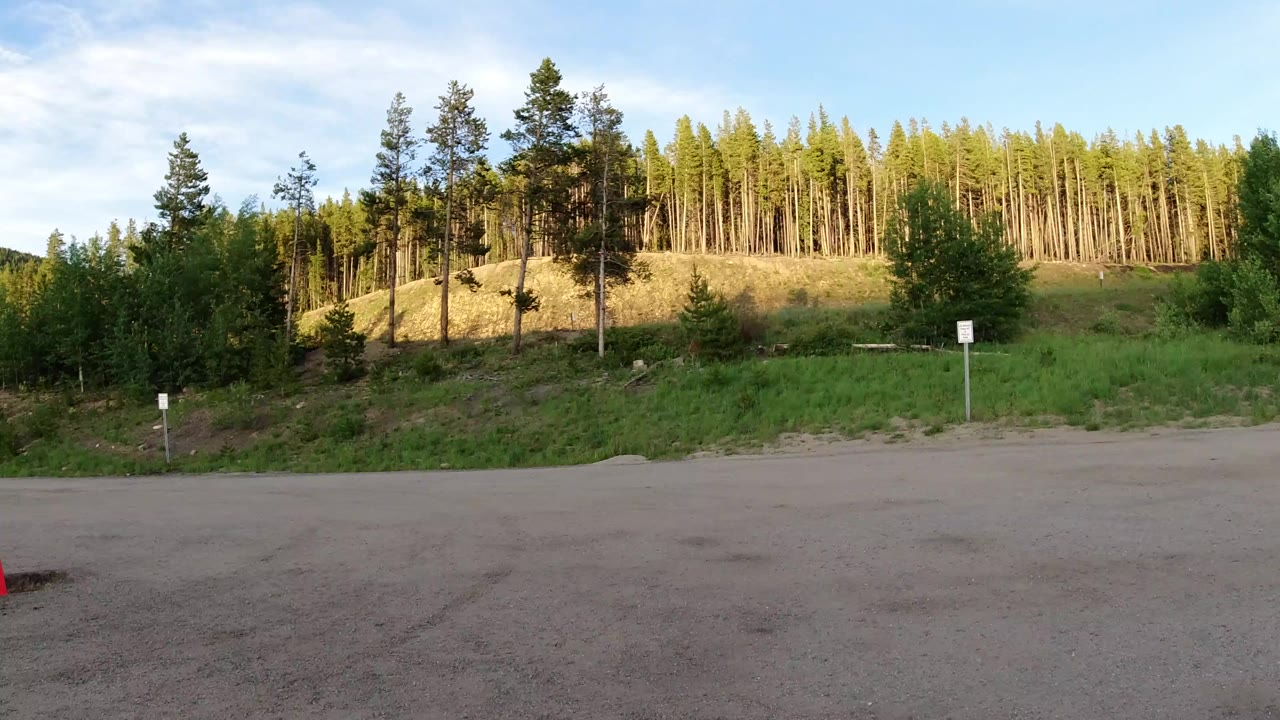 Wide view in Winter Park, Colorado showing an empty paved roadside area, green slope, sunlit pine trees, small signs, and no visible people.