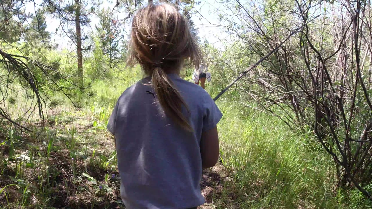 Child from behind on a wooded trail with grass and pine branches