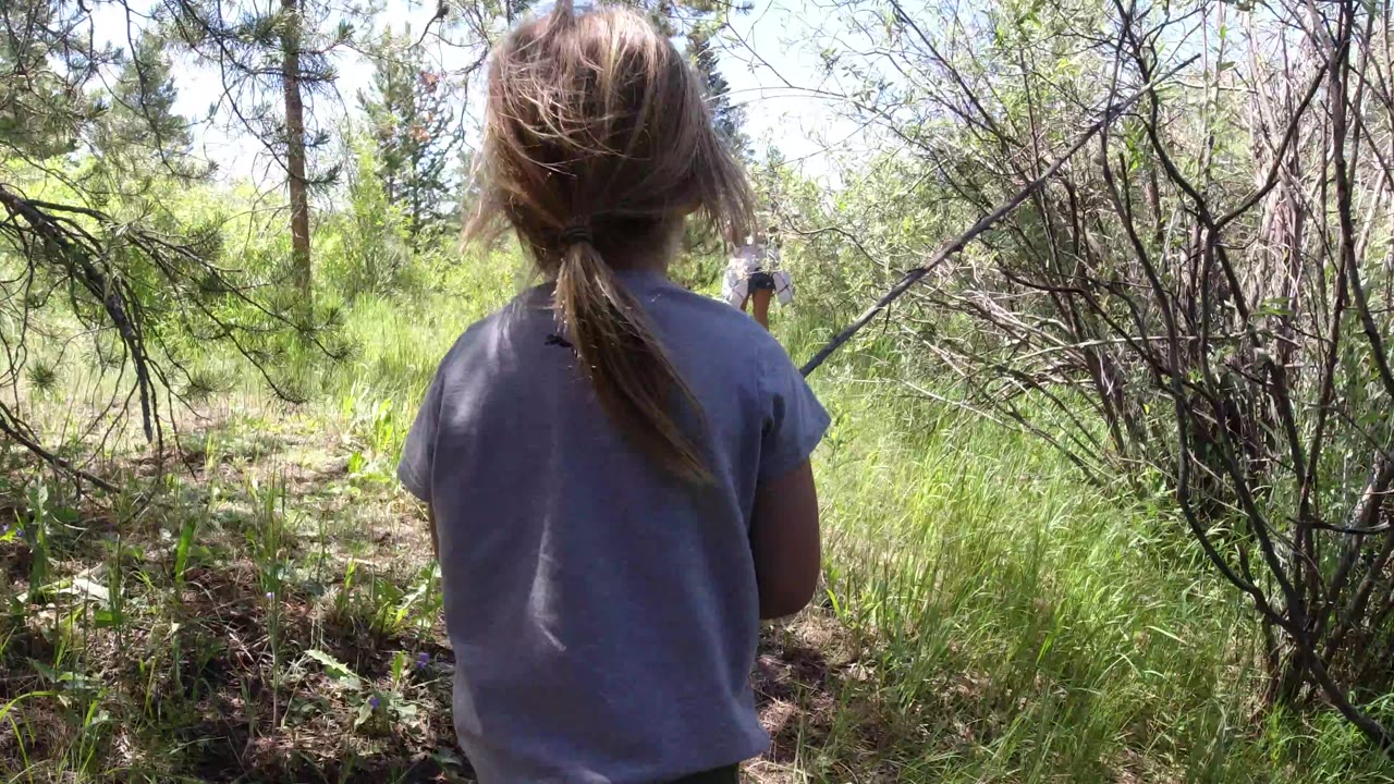 The child continues away from camera in Winter Park, Colorado, framed by dense brush on the right, green grass on the path, and a small adult figure ahead.