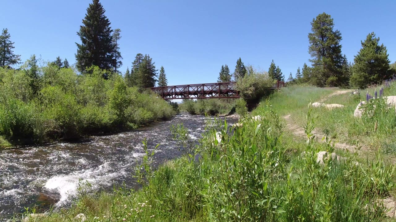 A shallow river runs past tall green grass and shrubs in Winter Park, Colorado, with a red metal bridge and pine trees in the background and no visible people.