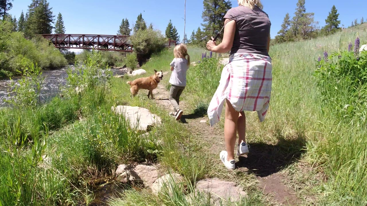 Woman, child, and dog walking beside a stream under a red bridge.