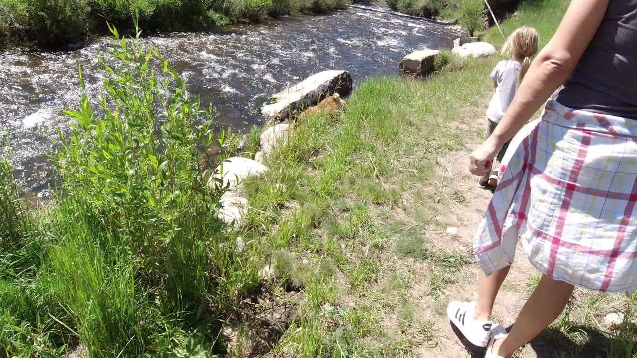 Woman and child near a fast river on a grassy bank.
