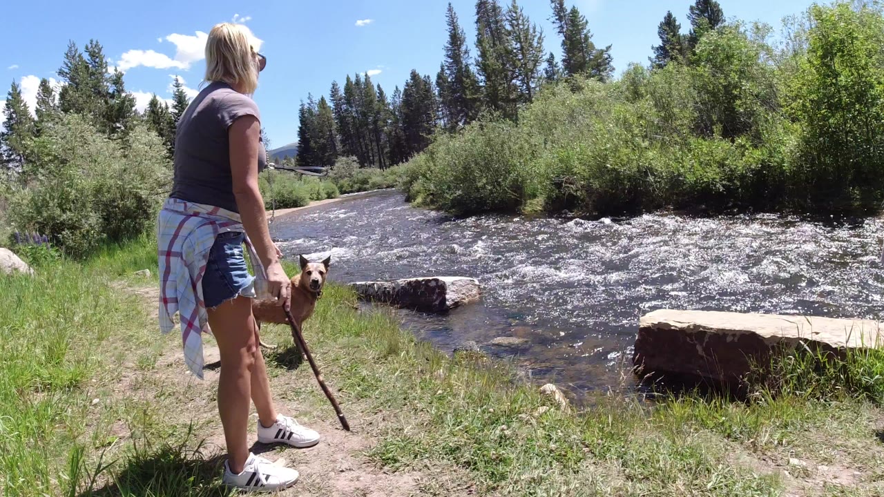 Woman and small dog beside a fast river