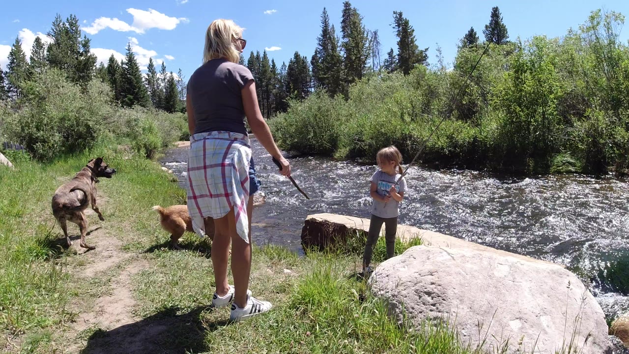 Woman, child, and two dogs beside a fast river