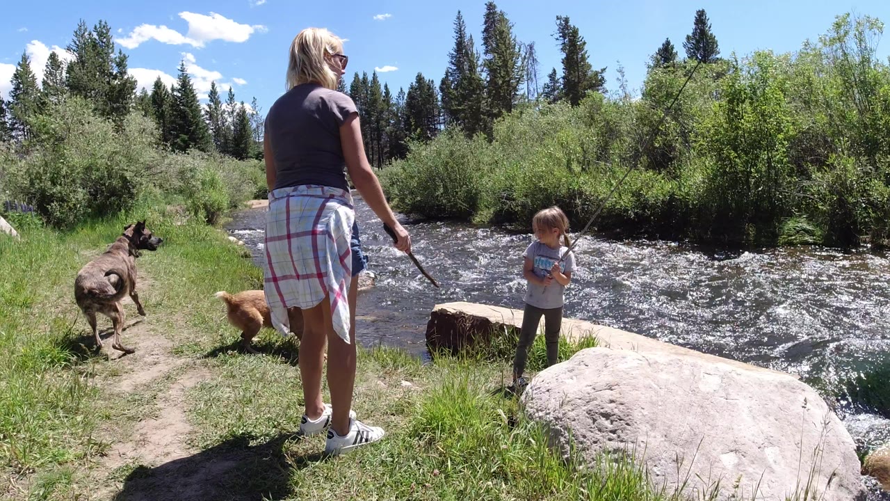 The woman faces the river holding a stick, the young child stands near the water with a fishing rod, and two dogs remain on the grassy bank in Winter Park, Colorado.