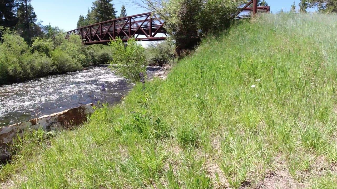 A low view of a grassy riverbank in Winter Park, Colorado, with moving water at left, a red metal bridge in the background, and no visible people.