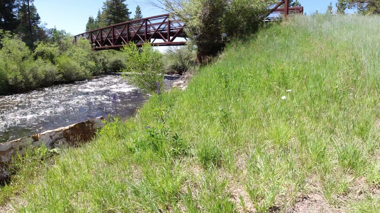 Tall green grass fills the foreground beside a river in Winter Park, Colorado, with the red bridge still visible above the bank and no visible people.