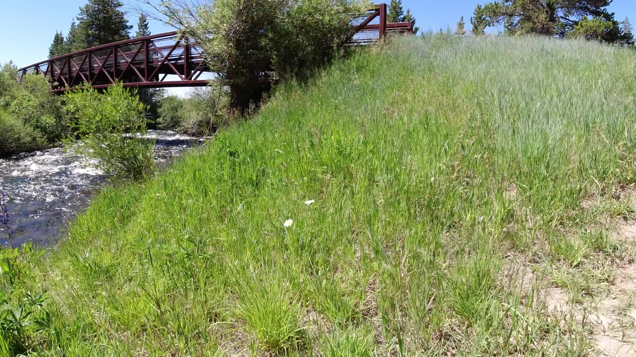 Sunny grassy slope with river and bridge behind it