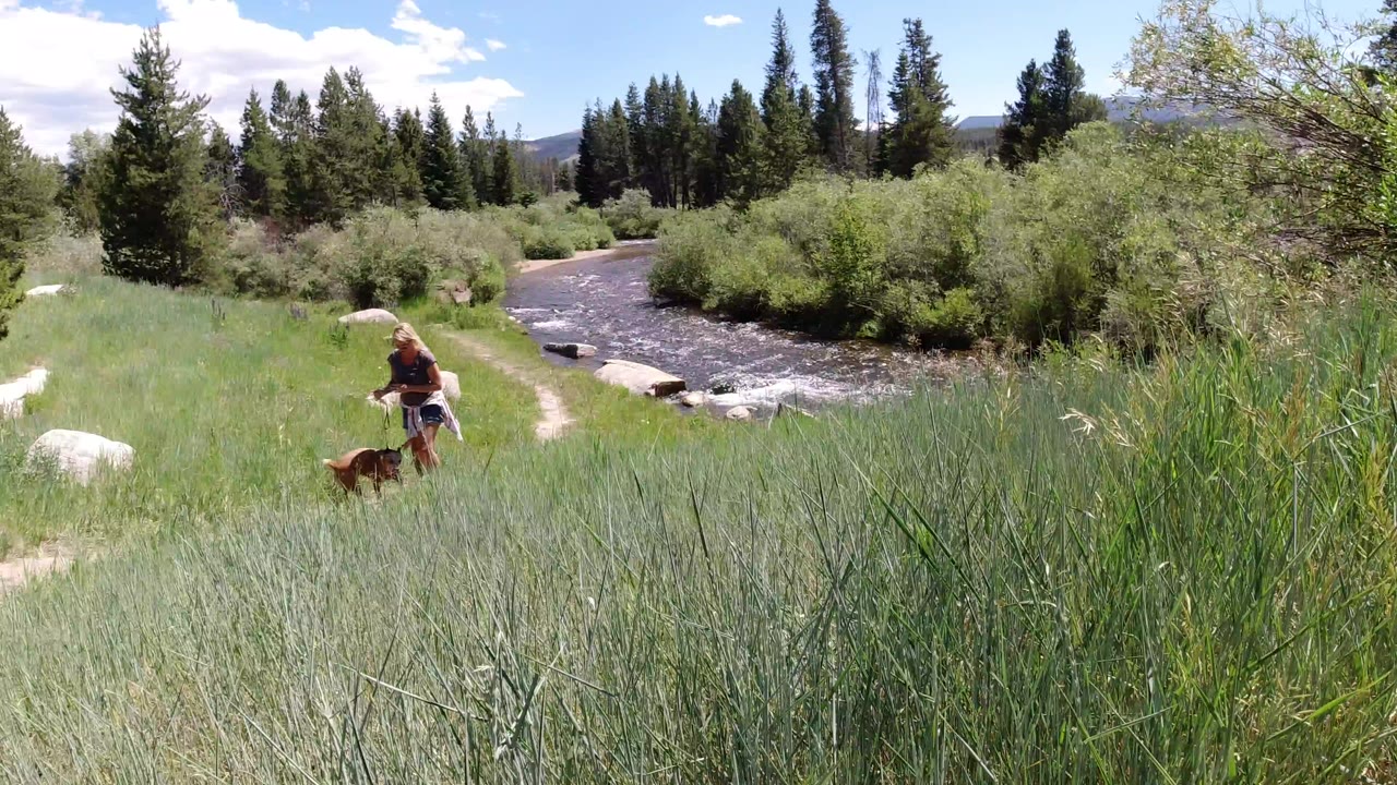 In Winter Park, Colorado, a woman walks a leashed brown dog along a narrow grassy path beside a creek, with reeds in the foreground and evergreen trees beyond.