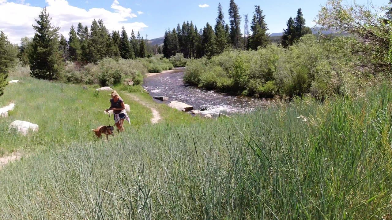A woman and leashed dog continue along the creekside trail in Winter Park, Colorado, with bright grass, low shrubs, pale rocks, and tall conifers filling the sunny scene.