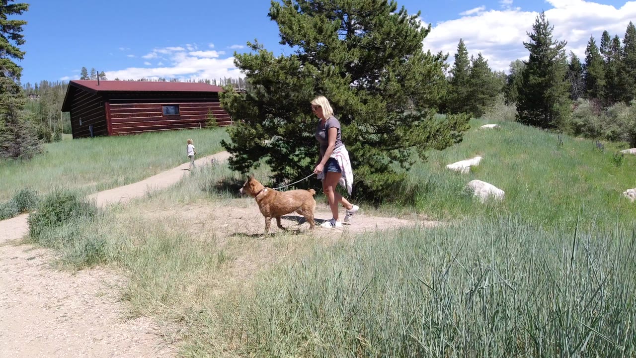 In Winter Park, Colorado, a blonde woman walks a brown dog on a leash across a dirt path, with tall grass, pine trees, and a red wooden building behind them.