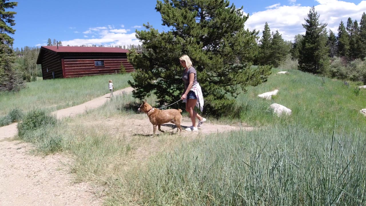 The woman and brown dog continue along the pale path in Winter Park, Colorado, with the dog in profile and a smaller person visible near the red building.