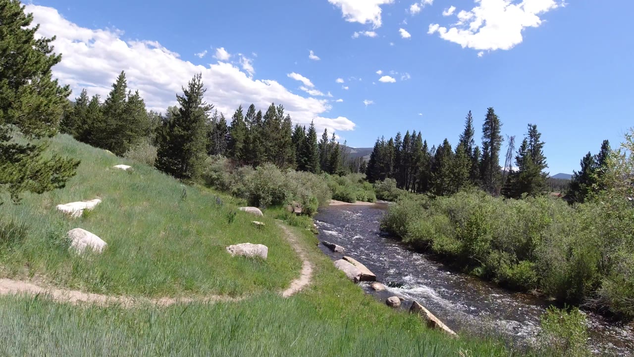 Creek running beside grass, boulders, shrubs, pine trees, and blue sky.