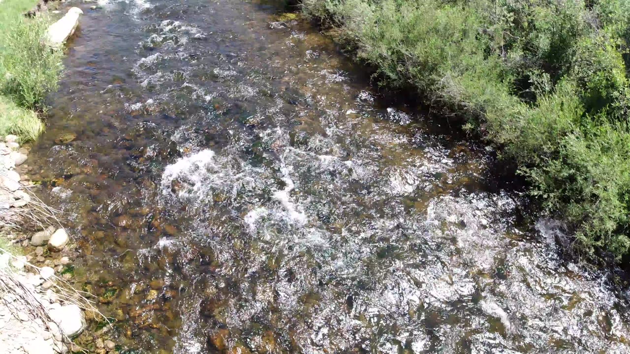 Opening overhead frame of a shallow rocky creek in Winter Park, Colorado, with bright white ripples, green shrubs at the upper right, and no visible people.