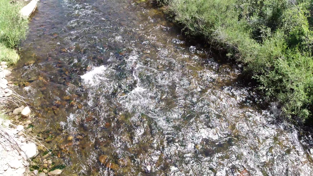 Rushing creek surface with white ripples and brush on the right bank.