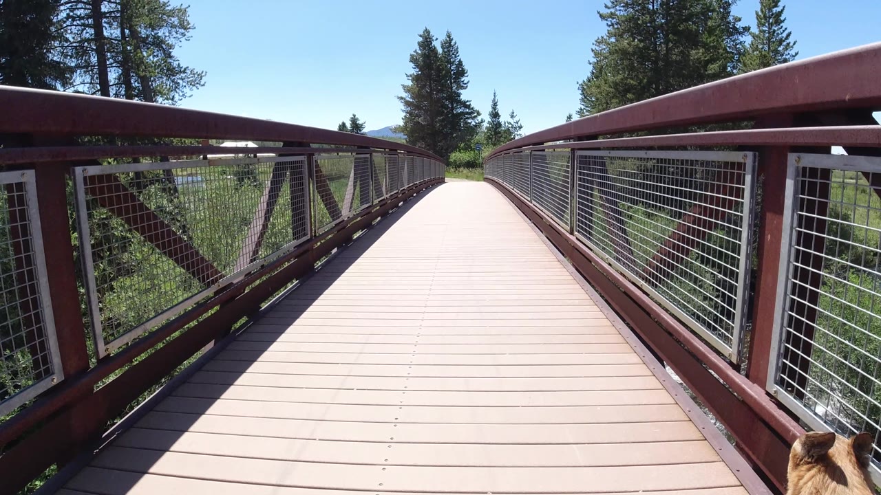 Bridge walkway with dog partly cropped at the bottom right