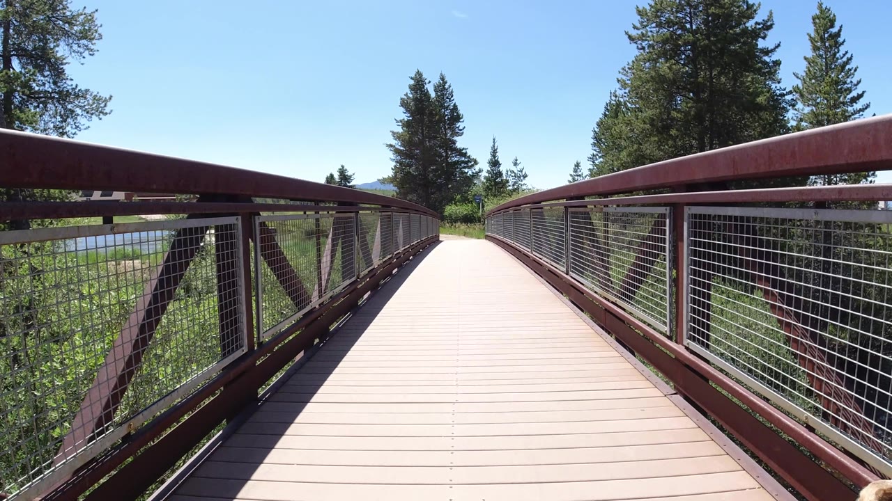 Sunlit bridge with red railings, wire mesh, trees, and distant water or wetland.