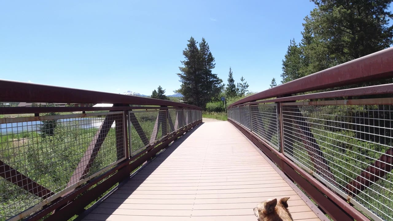 Red bridge railing and mesh beside green vegetation, trees, and a patch of water.