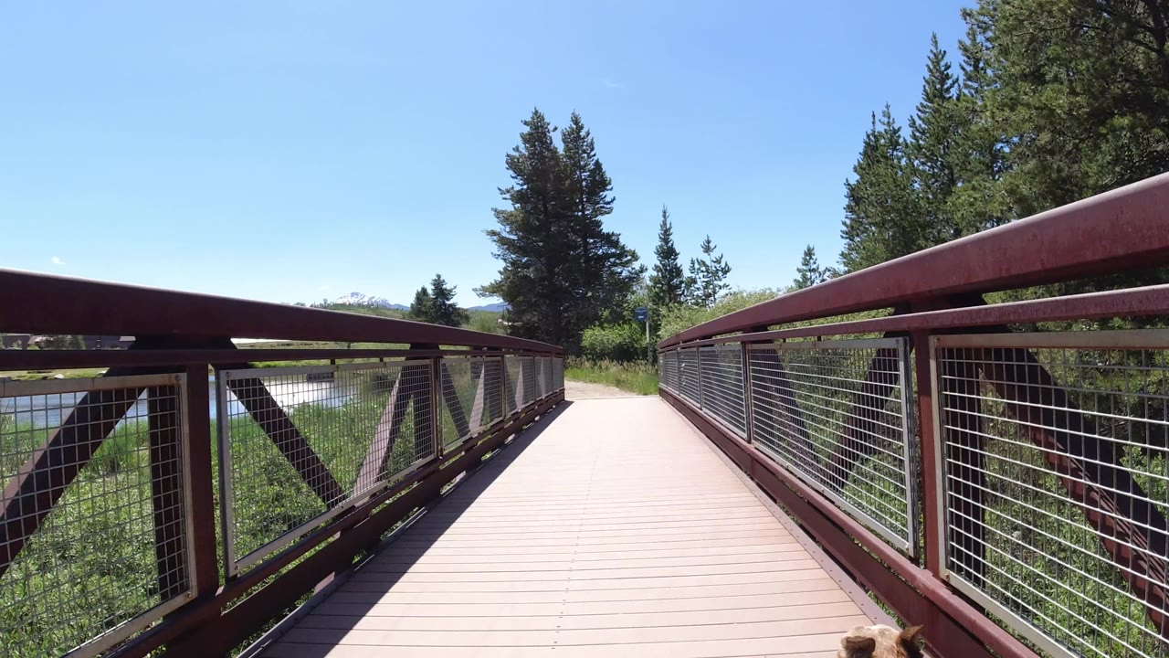 The Winter Park footbridge fills the foreground with red railings and wire panels, while green trees, blue sky, and a glimpse of water sit beyond the left side.