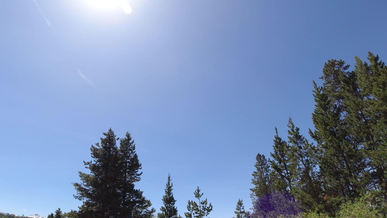 At 0:00 in Winter Park, Colorado, a bright blue sky fills the frame above evergreen treetops, with strong sun glare at the top and no visible people.