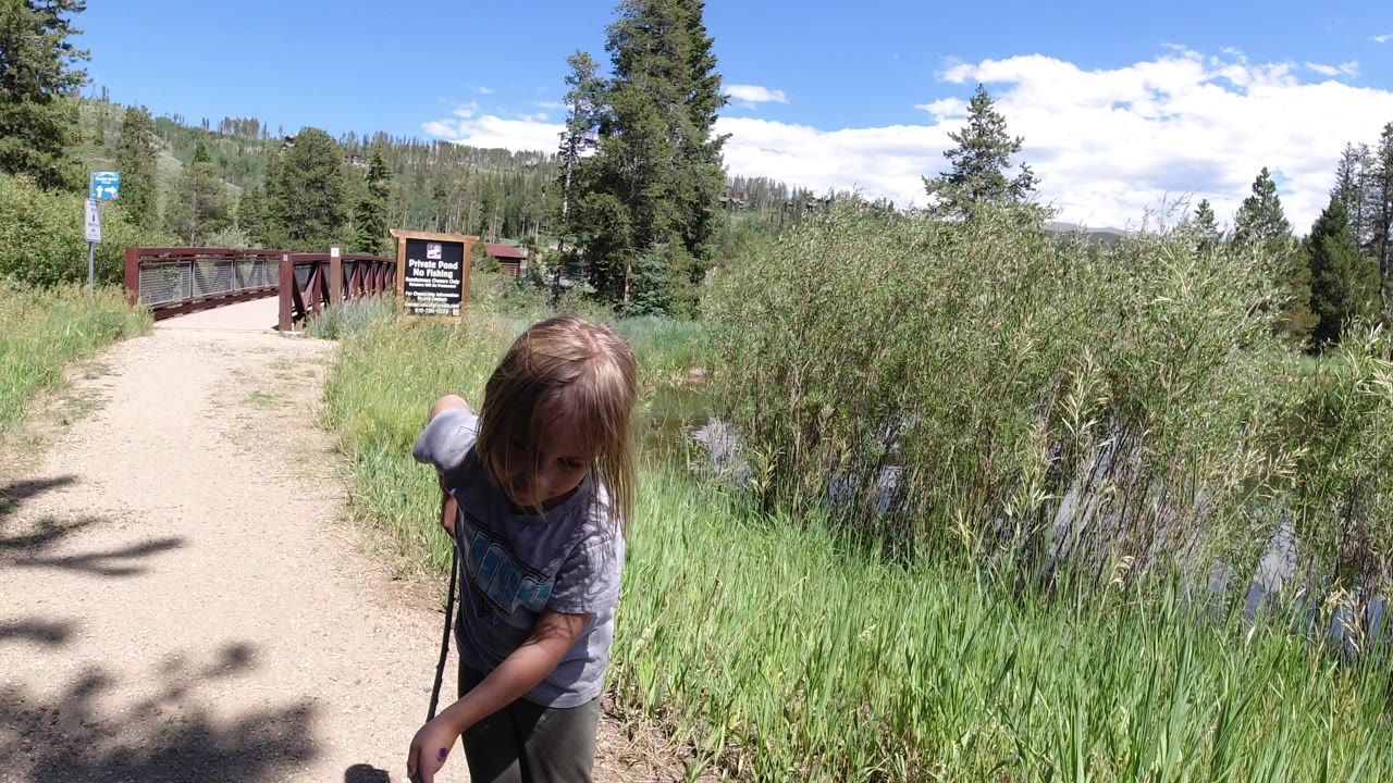 A young girl in Winter Park, Colorado leans near the edge of a dirt path with a stick, with tall grass, water plants, evergreen trees, and a red bridge behind her.