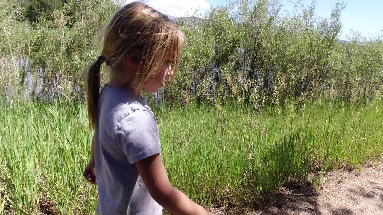 Young girl beside tall grass on a sunny path.