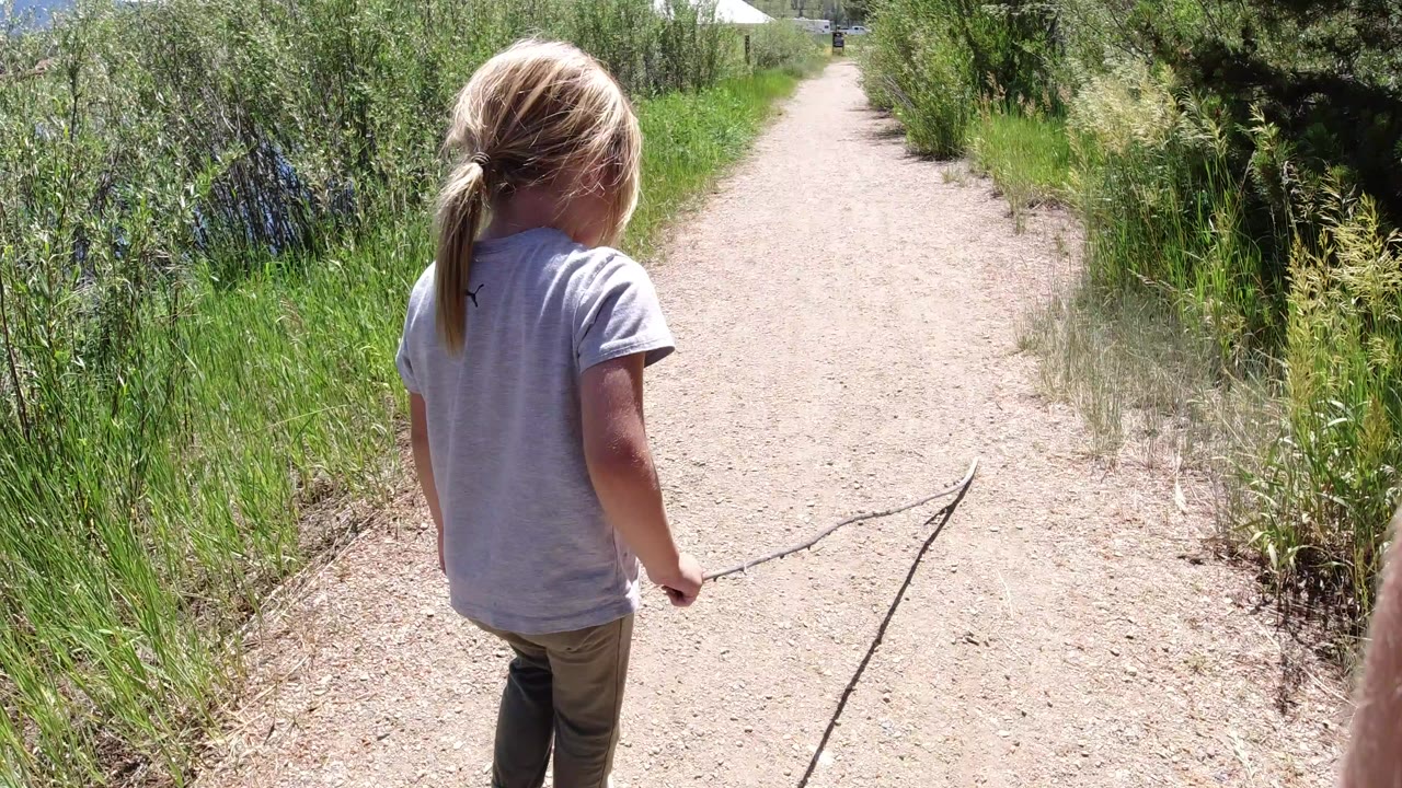 Child walking away on a dirt path beside green shrubs.