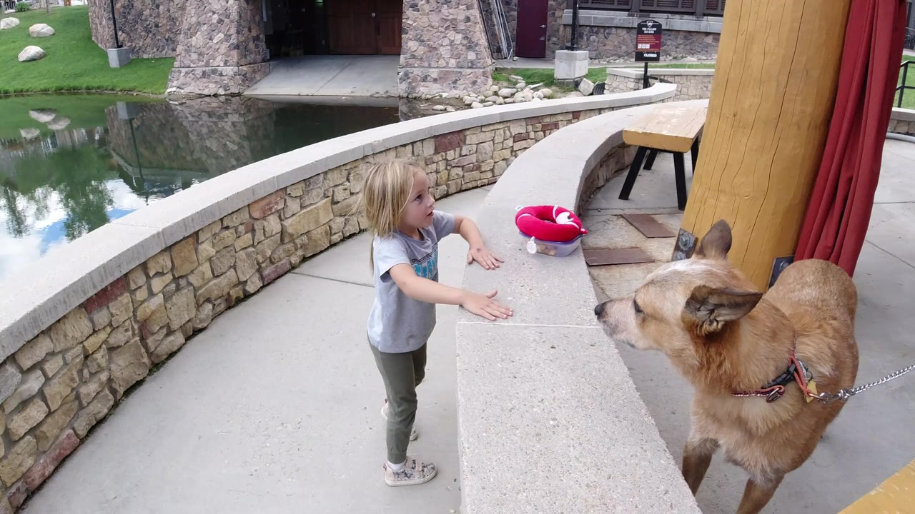In Winter Park, Colorado, the girl stands with one hand on the curved concrete wall as the tan dog faces her from the right, with reflective water and stone walls in the background.