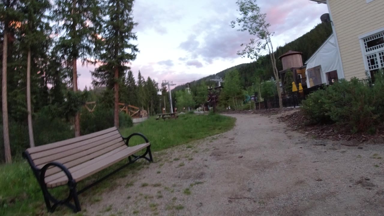 Bench beside a curving gravel path with trees and a pale building nearby.