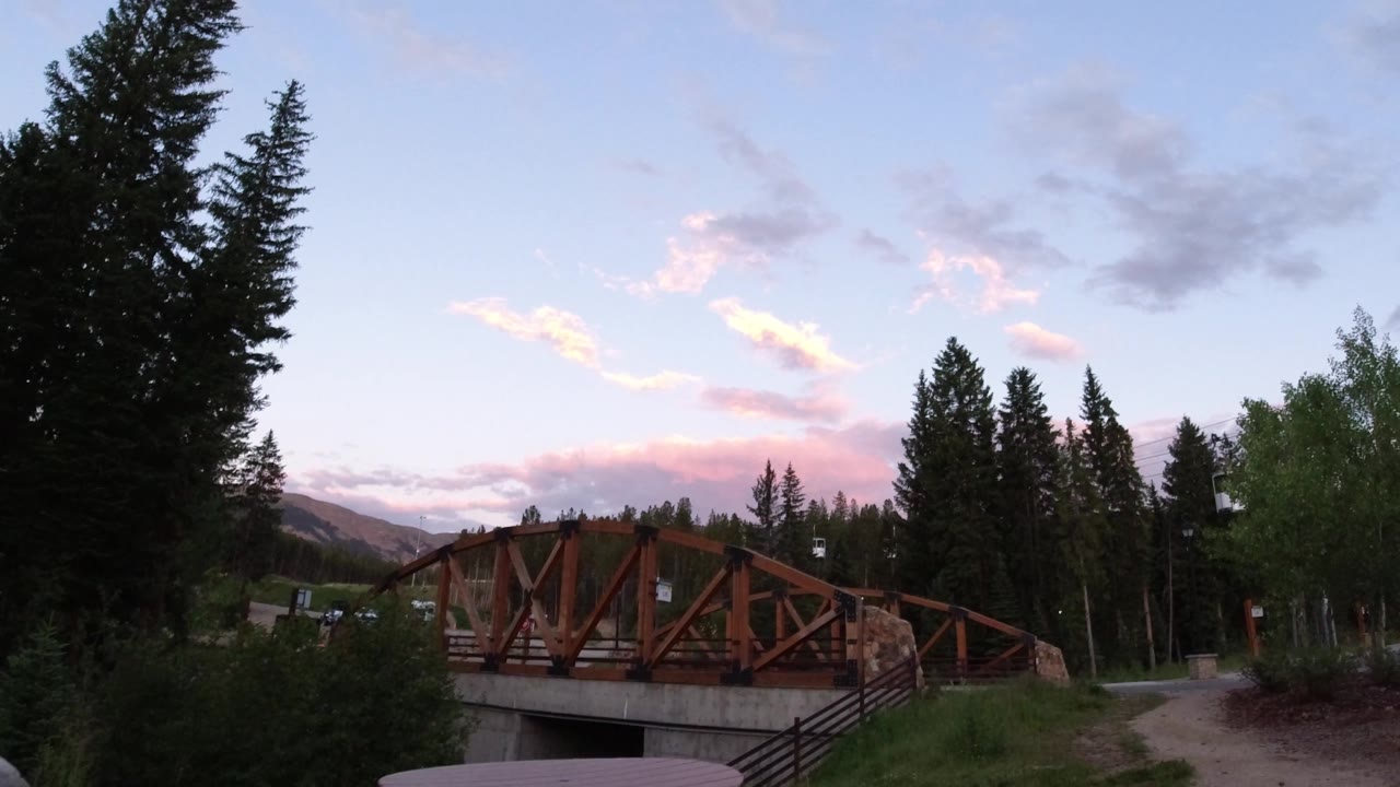 Bridge and forest path with mountains faintly visible behind trees.