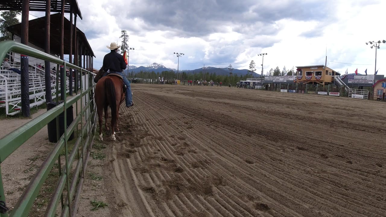 Rider on a horse beside green arena railing under cloudy sky.