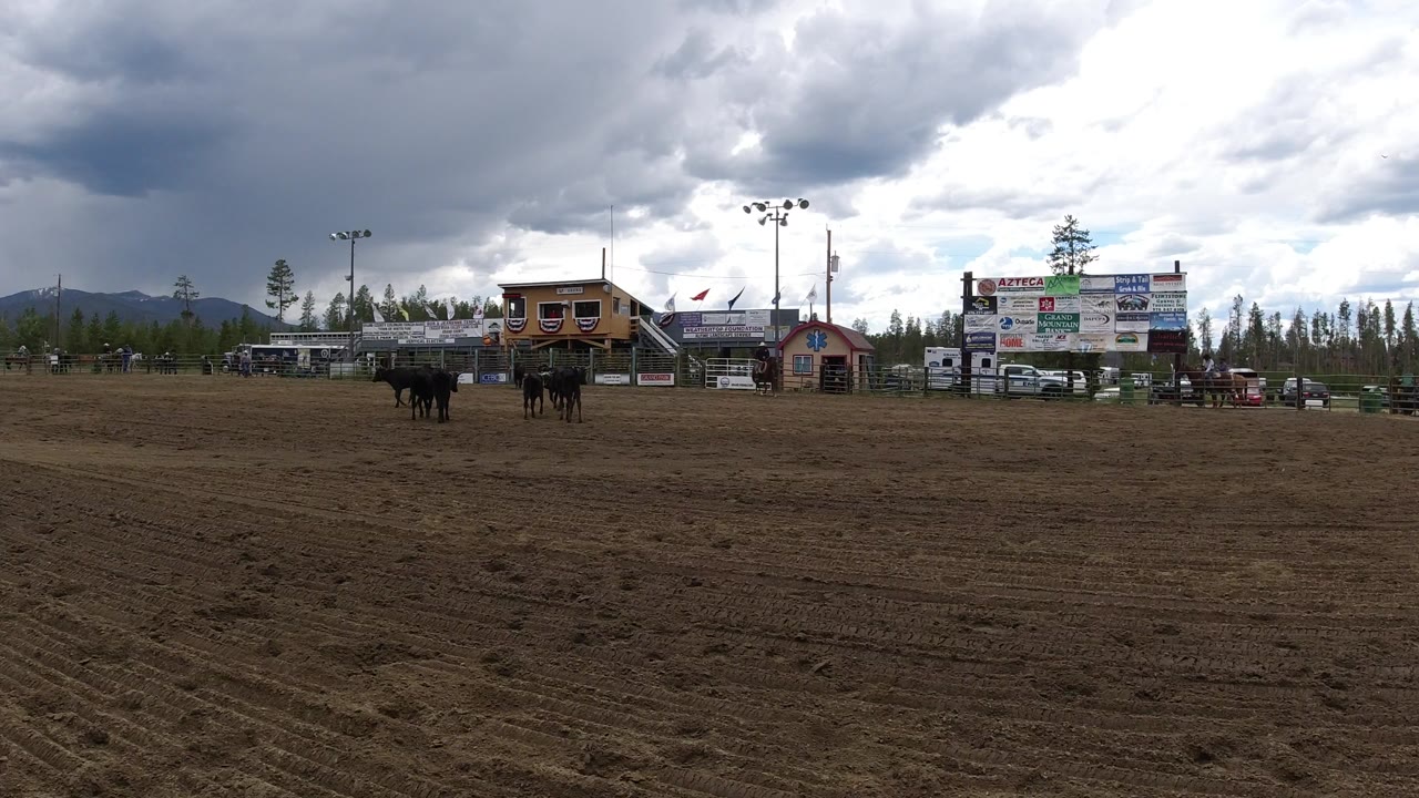 Black cattle stand and move across the Winter Park, Colorado arena, with a large open dirt foreground, bleachers, sponsor boards, parked vehicles, pine trees, and a cloudy mountain backdrop.