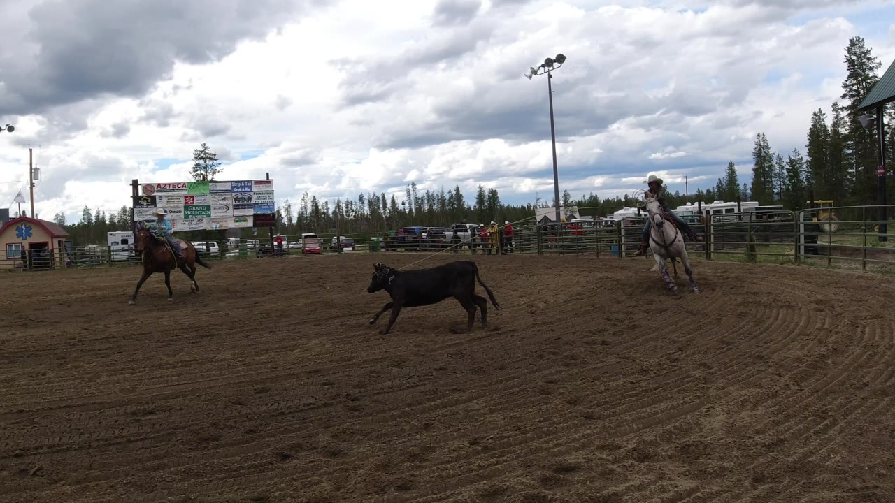 The black cow moves across the Winter Park arena as a rider on a brown horse approaches from the left and a rider on a gray horse holds position to the right.