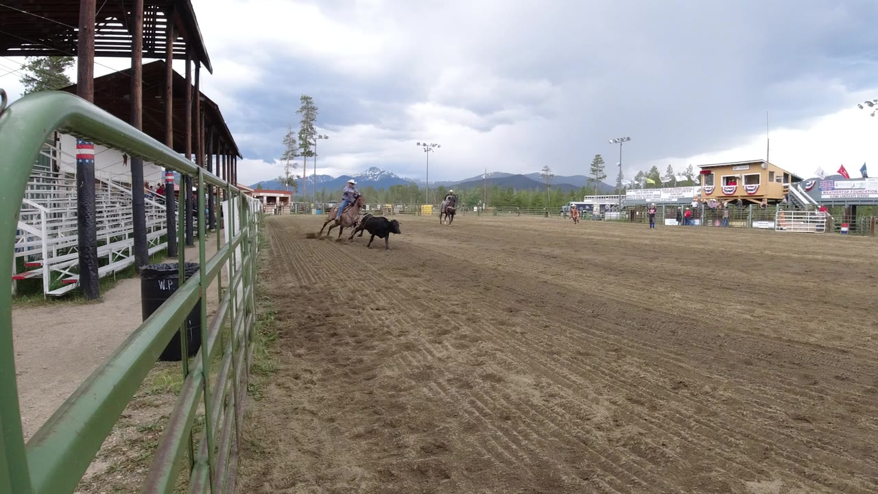 Wide dirt arena with a rider on horseback chasing a cow near a green fence.