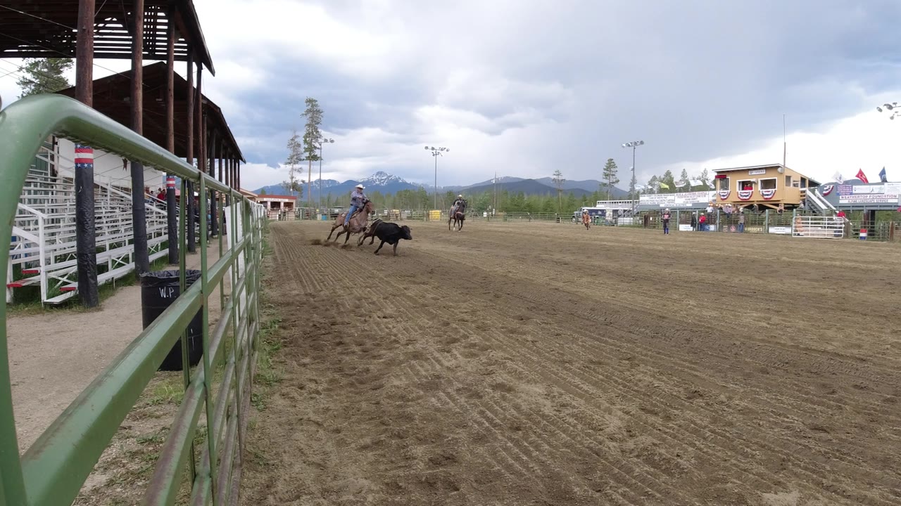 A horseback rider continues after a black cow in the Winter Park, Colorado dirt arena, with the green fence still prominent at left and fairground buildings beyond the field.