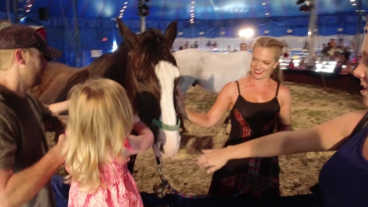 Adults and children stand near horses inside a blue tent arena.