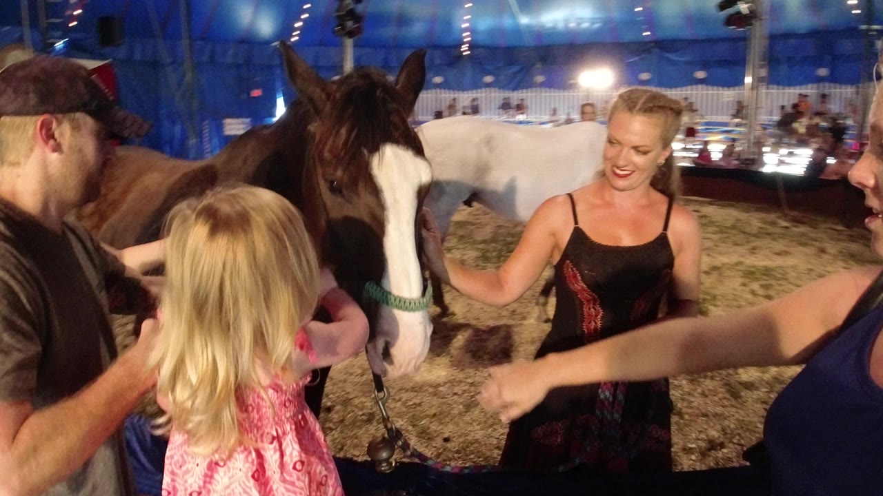 In Broomfield, Colorado, a blonde child faces a brown horse as nearby adults and a smiling handler stand under bright lights inside the blue tent.
