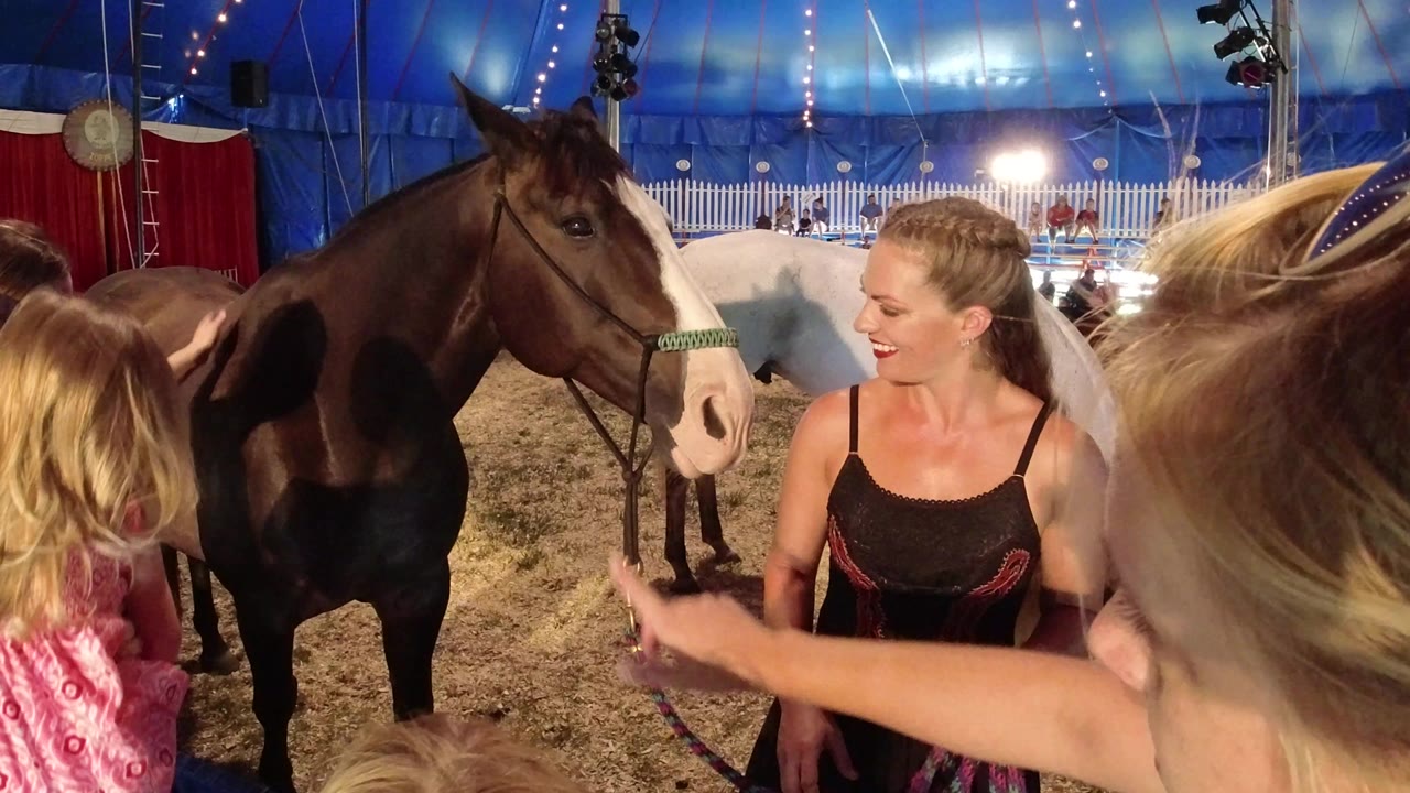 Woman and children beside a brown and white horse in a tented arena.