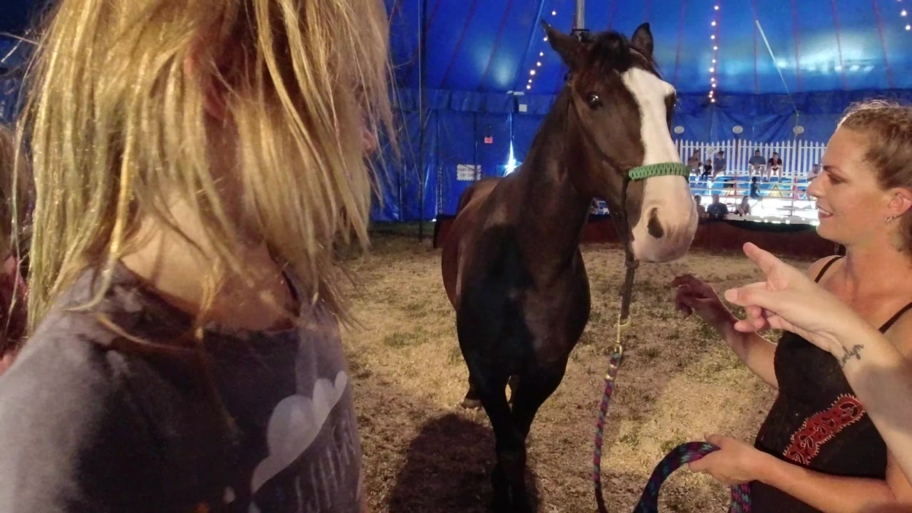 At 0:01 in Broomfield, Colorado, the woman beside the haltered horse gestures with one hand while the child remains in the foreground inside the lit tent area.