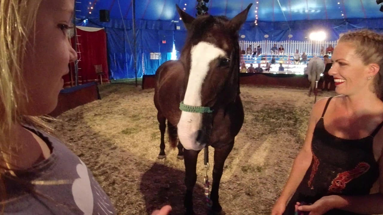 In Broomfield, Colorado, the child stays near the left edge as the brown and white horse faces forward and the woman smiles beside it under bright tent lights.