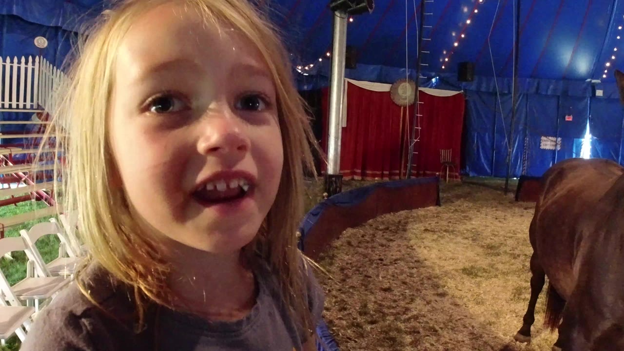 Blonde child close to the camera inside a blue tent with a horse behind her.