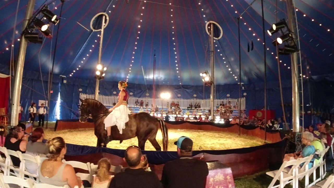 A young rider in a red jacket and white skirt sits on a dark horse in a blue circus tent in Broomfield, Colorado, with audience members seated in white chairs in the foreground.