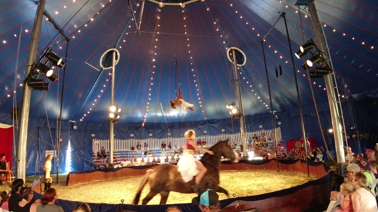 In Broomfield, Colorado, the horseback rider continues around the ring beneath a suspended aerial performer, with bright stage lights and seated spectators visible around the barrier.
